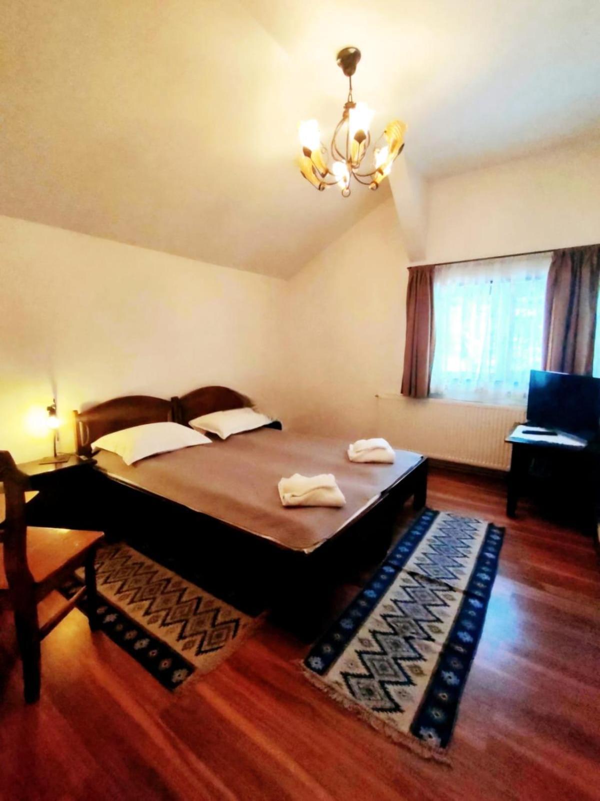 Pensiunea Cerbul - Valea Dobarlaului Exterior foto