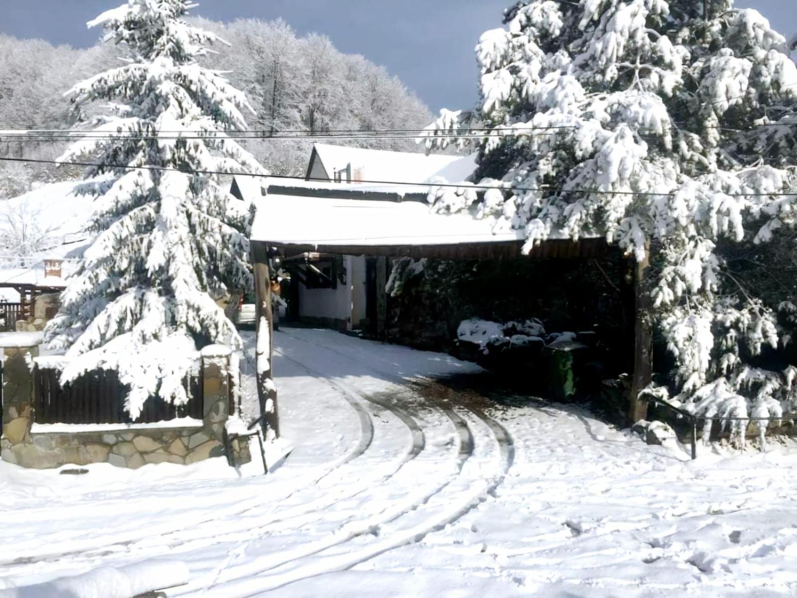 Pensiunea Cerbul - Valea Dobarlaului Exterior foto